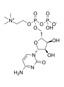  Citicoline (CDP-Choline)