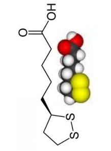 Alpha Lipoic Acid (ALA Ready™)