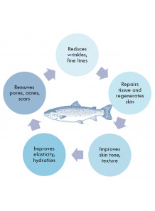 Salmon DNA (PDRN, Polydeoxyribonucleotide)
