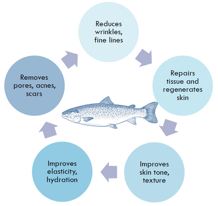 Salmon DNA (PDRN, Polydeoxyribonucleotide, 5000ppm Solution)
