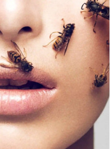  BEE-TOX™ (100ppm Melittin Bee Venom Solution)