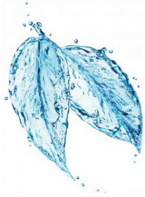 1,2-Hexanediol (Super-Purified, Odorless)