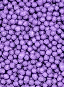 Puple Vitamin E Beads 0.5-1mm