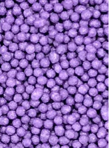  Purple Vitamin E Beads 0.5-1mm (Dry)