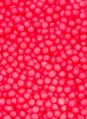 Red (Flash Red) Vitamin E Beads 0.5-1mm (Dry)
