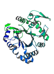 Beta glucanase (5,000U/g)