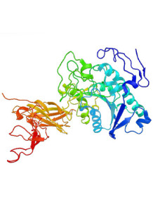  Lipase Enzyme (Acid, 20,000U/g)