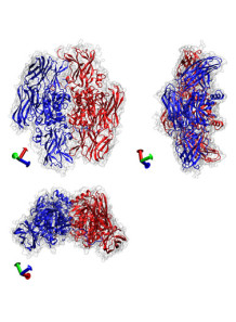 Transglutaminase (Meat...