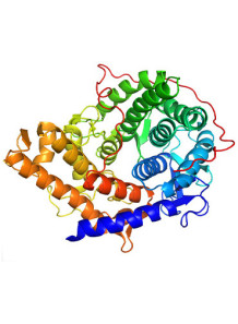  Glucoamylase Enzyme (200,000U/g)