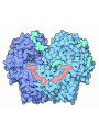Glucose Oxidase Enzyme (10,000U/g)