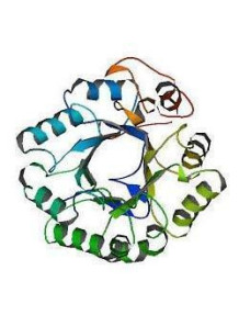  Mannanase Enzyme (30,000U/g)