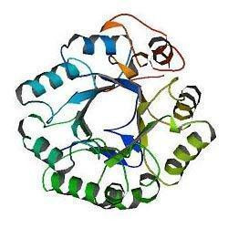 Mannanase Enzyme (30,000U/g)