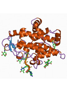 Ribonuclease 5-phosphodiesterase (Nuclease) Enzyme (12,000U/g)