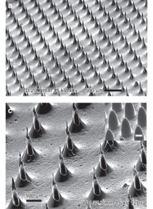  Microneedle Mold (9.15x9.15mm, H500μm, 10x10, S650μm, D250μm, Conical)