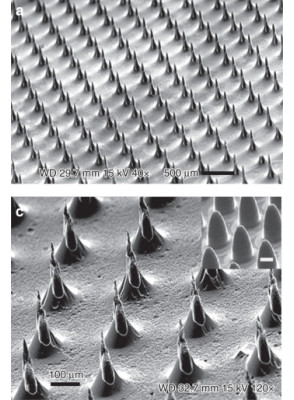 PDMS Microneedle Mold