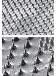 Microneedle Mold (260x260mm, 500μm, 10x10)