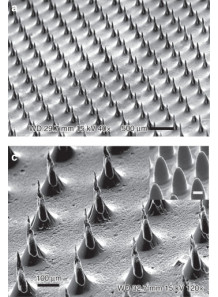  Microneedle Mold (15X15mm, H=830μm, 15X15, S=880μm, D=350μm)