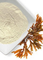 Sodium Alginate (Ultra-Fine 170Mesh, 600cps, Medium Strength)