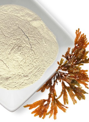 Sodium Alginate (Ultra-Fine 170Mesh, 800cps, Medium Strength)