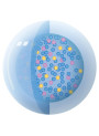 ActiveRelease™ Salicylic Acid (Powder, Water-Soluble)