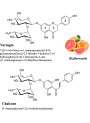 Naringin Dihydrochalcone (Naringin DC)