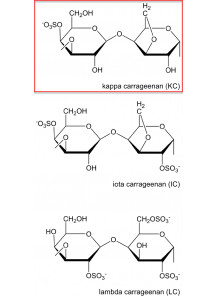 Propylene Glycol Alginate (PGA)