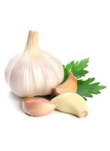 Garlic Extract...