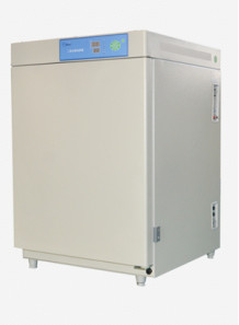 CO2 Incubator (Air Heating, 50L)