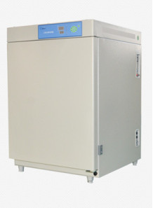 CO2 Incubator (Water...