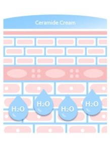 Cera-Flux V (Water Dispersible Ceramide Complex, 3 Types)