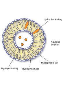 Phosphatidylcholine 80%...