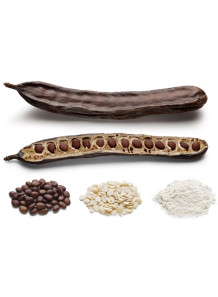 Locust Bean Gum (India,...