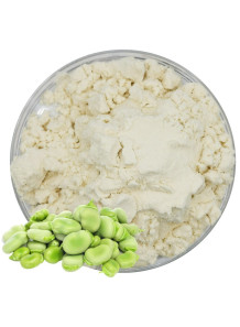Fava Bean Protein Isolate (80%, Reduced Odor)