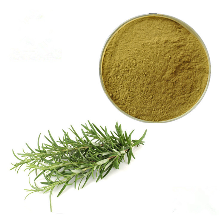 Rosemary Extract (Carnosic Acid 20%, Powder)