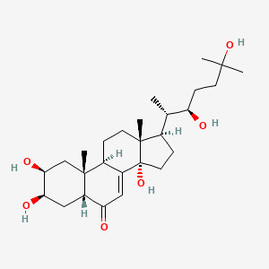 Pure-Ecdysone™ (90%)