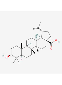 Pure-Betulinic Acid™ (98%)