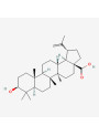 Pure-Betulinic Acid™ (98%)