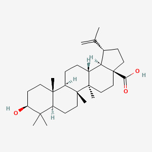 Pure-Betulinic Acid™ (98%)