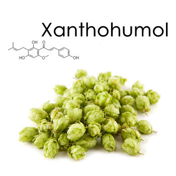 Pure-Xanthohumol™ (98%)
