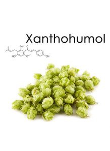 Xanthohumol (98%)