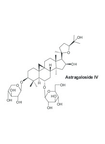 Astragaloside IV 98%