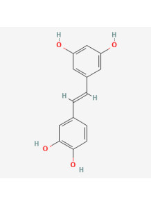 Pure-Piceatannol™ (98%)