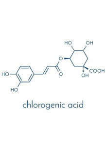  Chlorogenic Acid (98% HPLC)