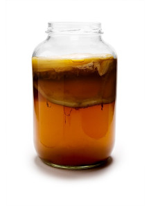 Kombucha (Instant Powder for Beverage)