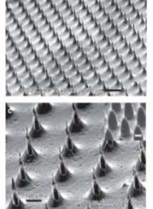  Microneedle Mold (8.7x8.7mm, H=400μm, 10x10, S=600μm, D=230μm, Pyramid)