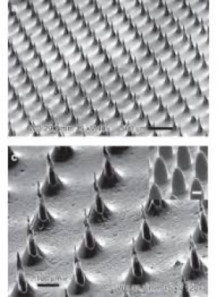 Microneedle Mold (8x8mm,...