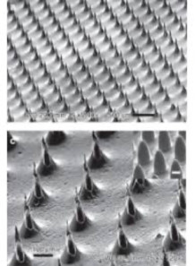 Microneedle Mold 