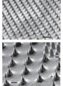  Microneedle Mold (13x13mm, H=1000μm, 10x10, S=1000μm, D=500μm, Pyramid)