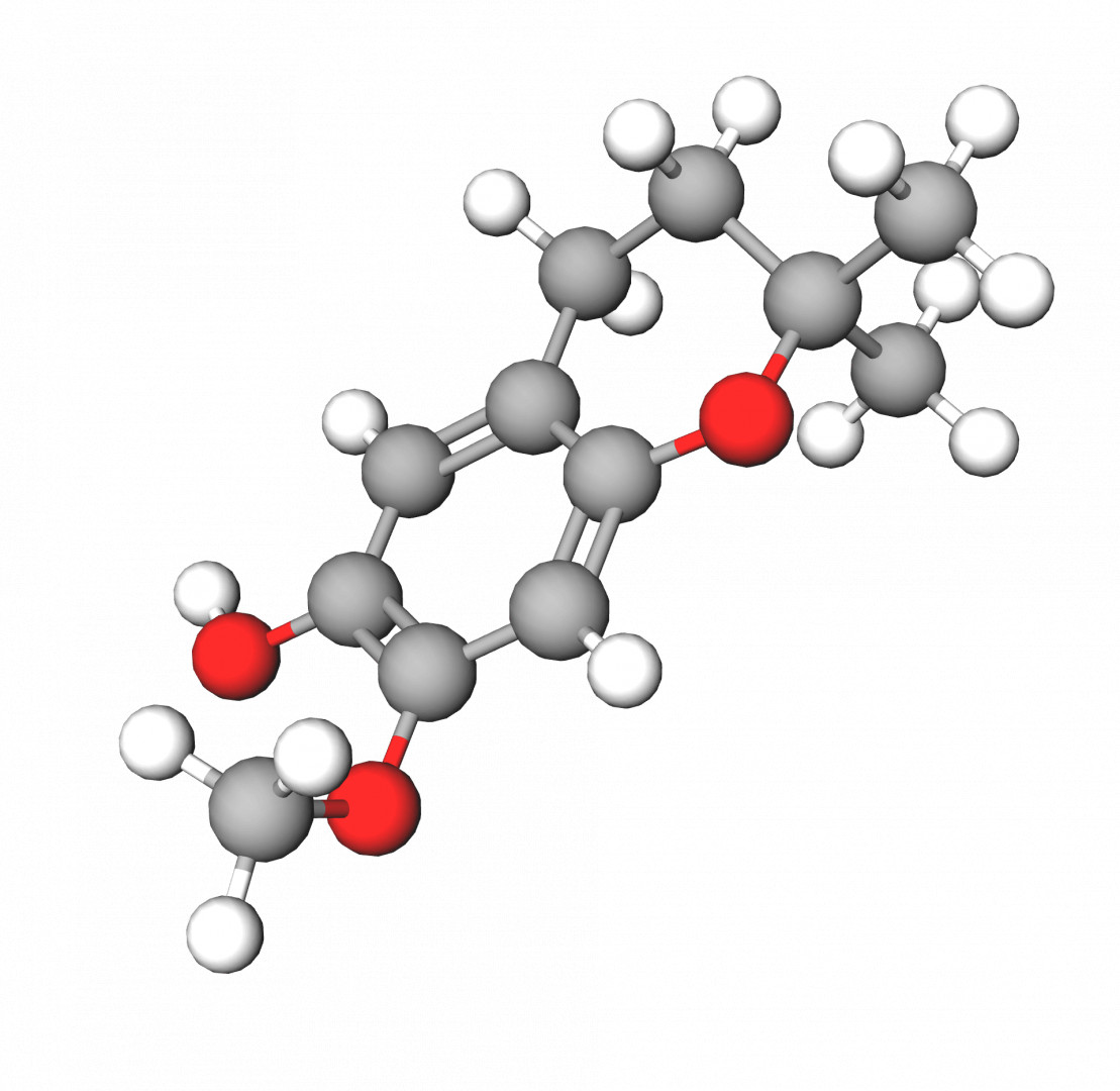 Dimethylmethoxy Chromanol (1%, Oil Based)