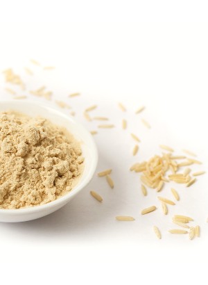 Hydrolyzed Rice Protein (Powder)